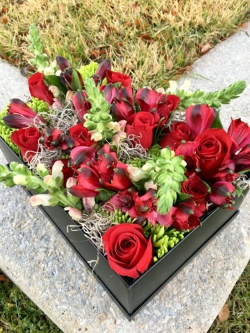 holiday, Christmas, modern, flowers, flowers in a box