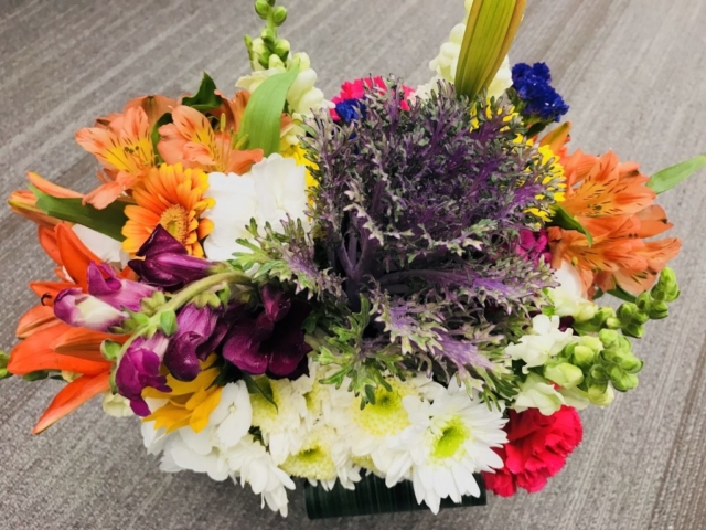 Spring Mix with vibrant colors, flowers