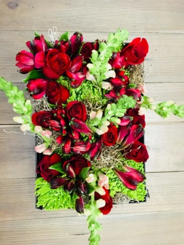 holiday, Christmas, modern, flowers, flowers in a box