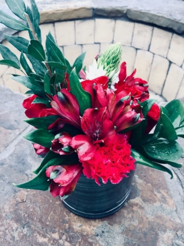 holiday, Christmas, modern, flowers
