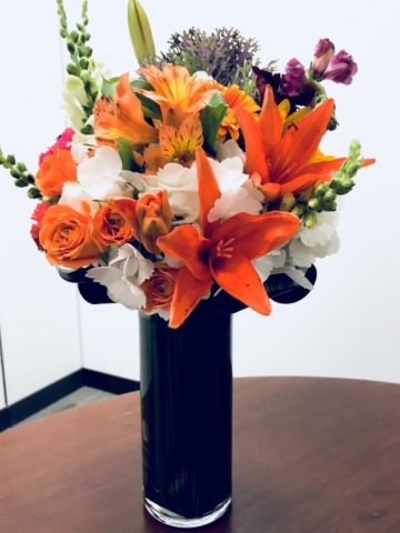 Spring Mix with vibrant colors, flowers