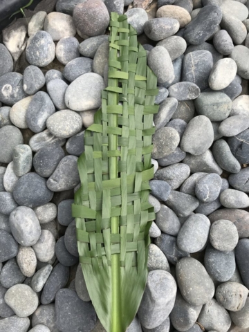 Leaf Braiding, flowers