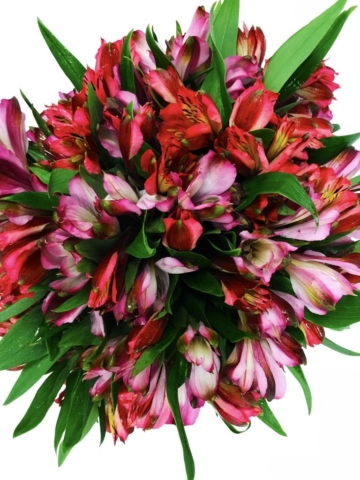 Flower Topiary, modern flower design