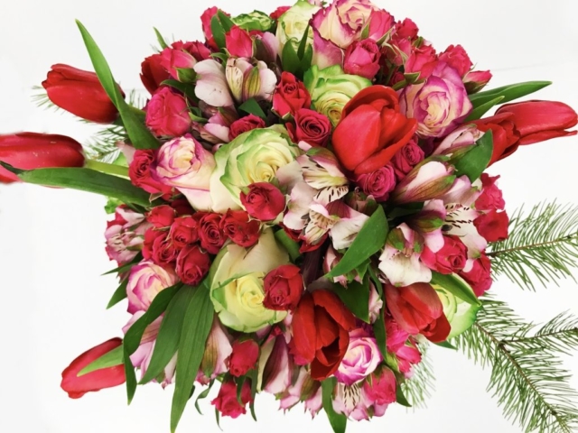 Illusion roses, tulips, spray roses, & alstroemerias