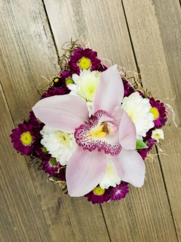 flowers in a box,  orchid, modern