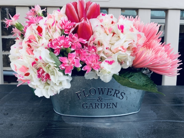 Rustic Pink Farmhouse, flowers, country, southern charm